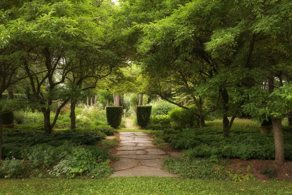 Open Garden — Hayward Gardens